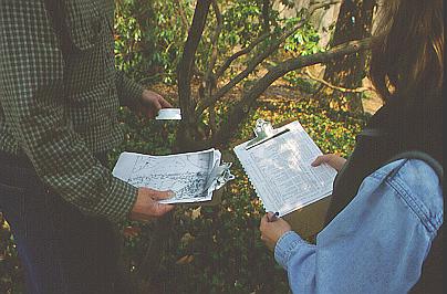 Checking Existing Plant Labels and Documentation